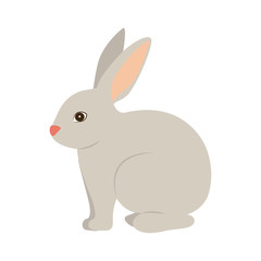 Fototapeta na wymiar Rabbit cartoon icon. Animal cute life nature theme. Isolated design. Vector illustration