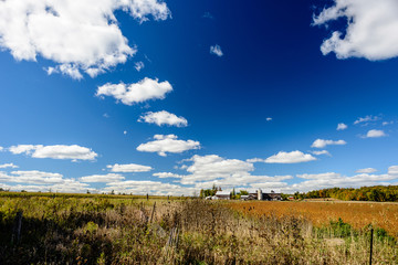 Farm on a field of grass with a trail of white clouds on a blue sky