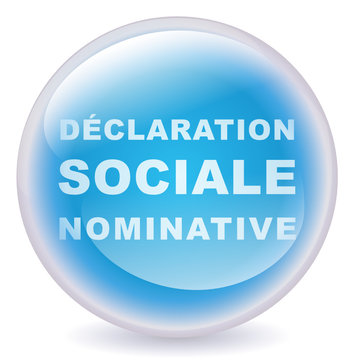 Boule d&eacute;claration sociale nominative (DSN)