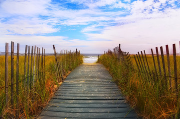 wooden trail with handrails leading to the ocean with grass on opposite sides Atlantic, USA, Maine....