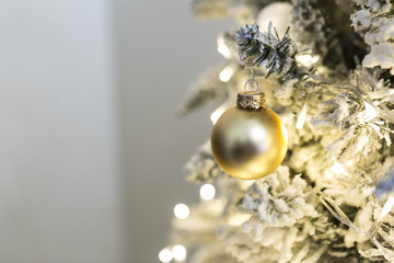 Christmas ball - Mario Colasuonno * Photography