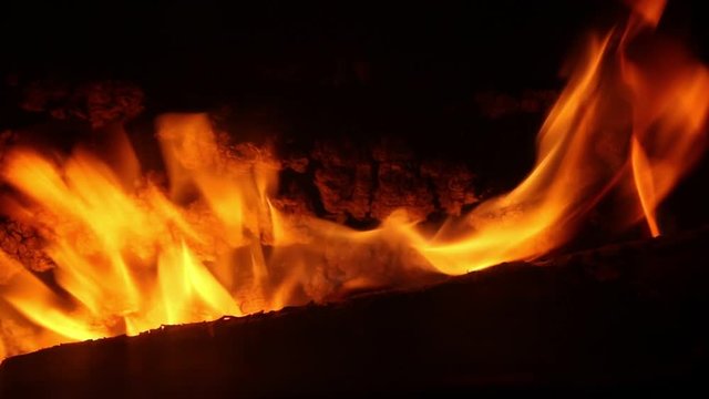 Burning wood logs in fireplace. Burning Fire background 