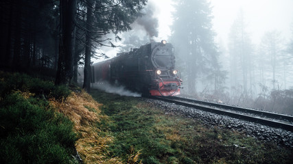Dampf Eisenbahn fährt duch den Nebel Wald im Harz - obrazy, fototapety, plakaty