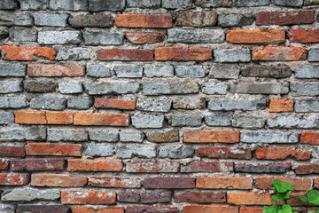 Fototapeta premium Brick wall background.