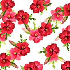 Beautiful floral background of red hibiscus 