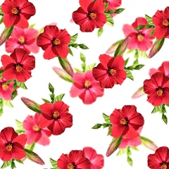  Beautiful floral background of red hibiscus  © Ann-Mary