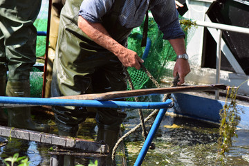 Fischer bei der Arbeit