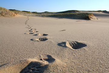 Footsteps in Sand