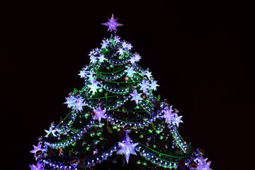 Christmas tree with light illumination