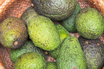 Avocado background. Fresh green avocado on a market stail.

