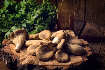 Pleurotus