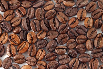 coffee beans on white background