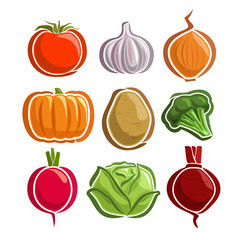 Vector Set Vegetables simple Logo: tomato, garlic, onion, pumpkin, potato, broccoli, radish, cabbage, beetroot; abstract primitive simplistic vegetables logo or minimalistic icon, isolated on white.