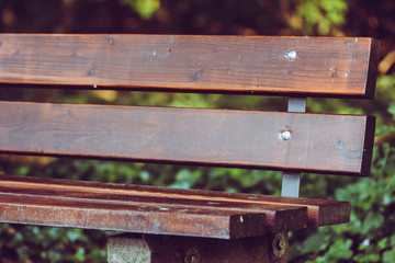 Fototapeta premium Eine verwitterte Bank