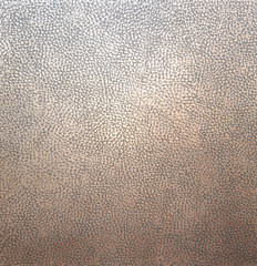 Opalescent brownish metallic texture