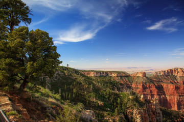 Grand Canyon North Rim View 3