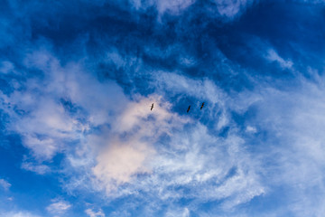 looking up into heaven