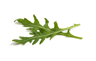 fresh rucola leaves