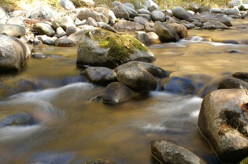 Fototapeta na wymiar Creek in the mountains