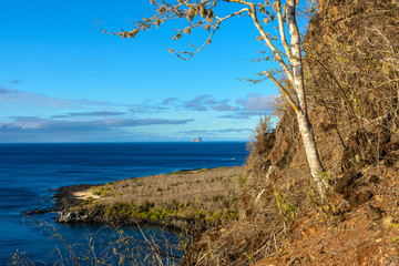 Fototapeta na wymiar View from Cerro Tijeretas with Kicker Rock as background, San Cristobal Island, Galapagos, Ecuador