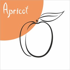 apricot armenia fruit food logo abstract