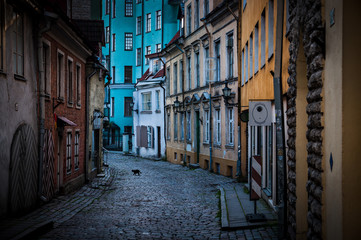 Narrow street of the old town of Tallinn, Estonia