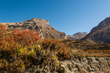 Mountain landscape in autumn.
