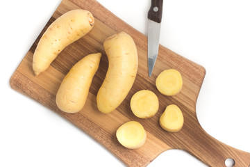 Barred Potato. Baroa