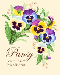 Vintage card with pansies