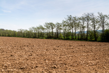 Sussex Farmland