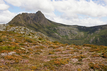 Cradle Mountain Nationalpark, Tasmanien, Australien