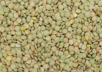 Lentils pulse grain legume vegetables