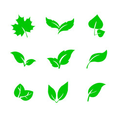leafs icon