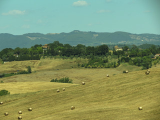 Fototapeta na wymiar View of Siena hills