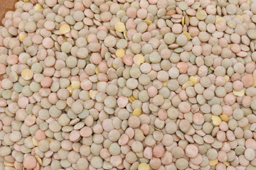 Lentils pulse grain legume vegetables
