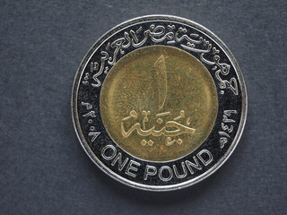 One Egyptian Pound (EGP)