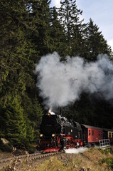 Fototapeta na wymiar Steam Engine Train in Harz Region