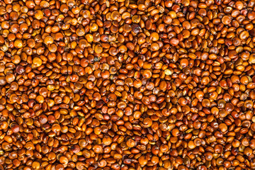 Red quinoa seeds