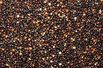 Black quinoa seeds