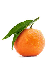 one tangerine with leaf on a white background.