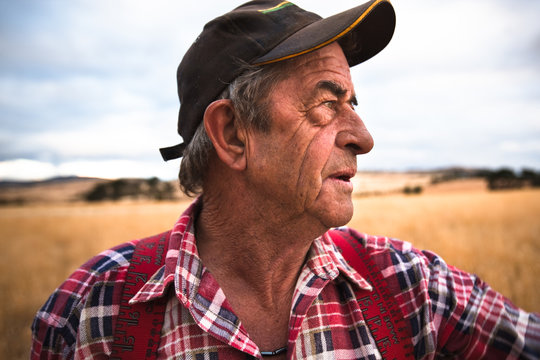 close portrait of a working older farmer