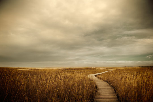 Boardwalk path to the ocean. Cape Cod, MA. USA