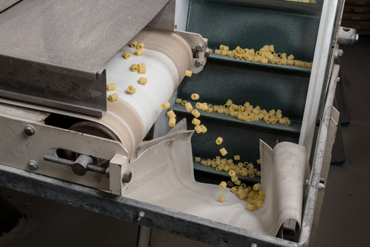 Produzione di ditalini in fabbrica di pasta.