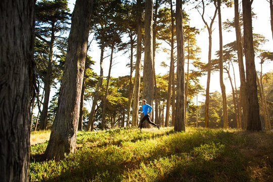 Runner on a jog in the woods. California