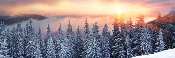 Papier Peint photo autocollant Hiver frosty sunrise in Carpathians