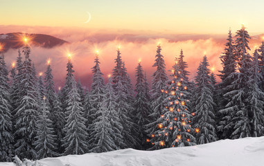 frosty sunrise in Carpathians