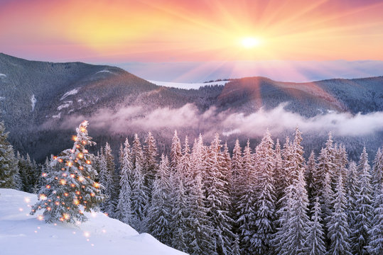 frosty sunrise in Carpathians