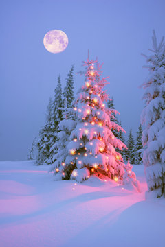 Winter's Tale