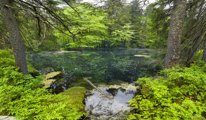 Fototapeta na wymiar Mountain Lake in the wild taiga