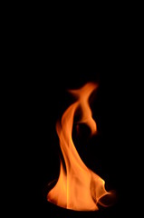 Fototapeta premium züngelnde Flammen